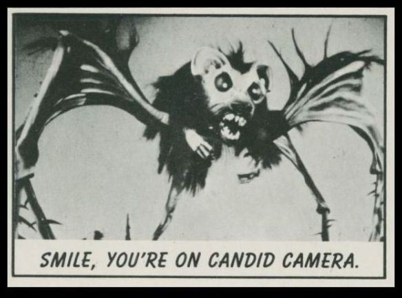 24 Smile You're On Candid Camera